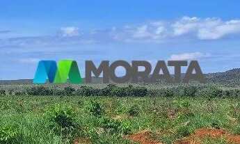 Imagem: FAZENDA À VENDA - 385 HECTARES - CORINTO