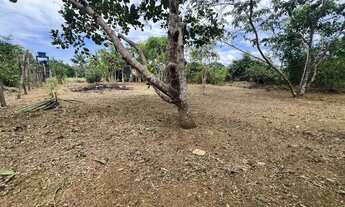 Imagem 6: Terreno no acutiba