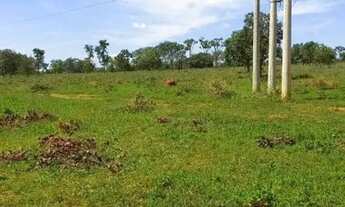 Imagem 3: Fazenda / Sítios / Chácaras à venda em Felixlândia