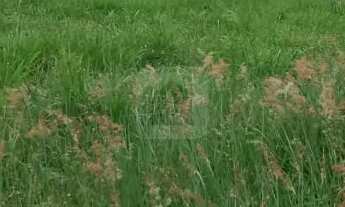 Imagem 4: Terreno A Venda No Bairro Novo Mundo