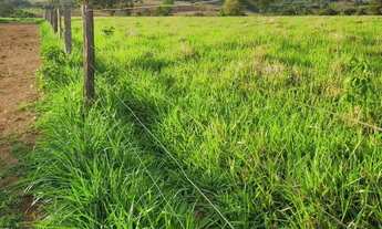 Imagem 2: Fazenda à Venda em Itaguari - Goiás