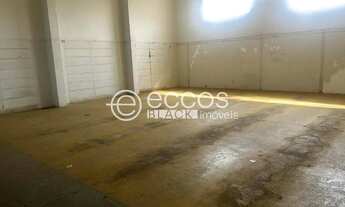 Imagem 6: Galpão para aluguel, Jardim Regina - ARAGUARI/MG