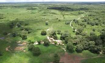 Imagem 2: VENDO FAZENDA PANTANAL POCONÉ 4.263 HAC