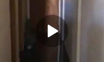 Imagem 5: Vende-se apartamento de 2 quartos(avenida principal Riacho Fundo ll