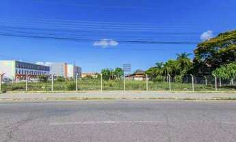 Imagem: Terreno para aluguel Pelotas