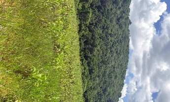 Imagem 6: Lotes para venda possui 1000 metros quadrados em Colégio - Ibiúna - SP