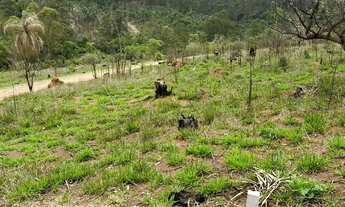 Imagem 3: 82A LOTES DE 600M2 ATIBAIA COM ENTRADA FACILITADA
