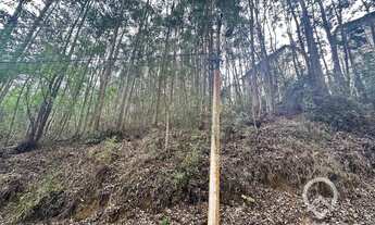 Imagem 4: Terreno à venda com 1654 m²