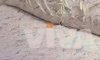 Imagem 7: Espinheiros - Apartamento