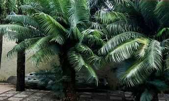 Imagem 2: Casa em condomínio Rua 12 - 3 quartos e área de lazer!