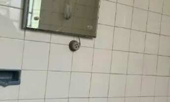 Imagem 3: Repuplica mel Quarto com aluguel por R$750 /mês