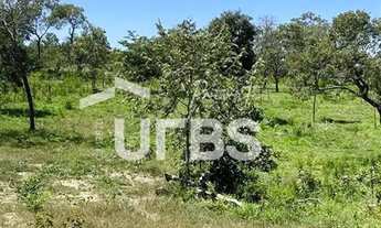 Imagem 7: Fazenda Campinaçu