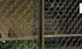 Imagem: APARTAMENTO À VENDA 76 m2 ENCRUZILHADA