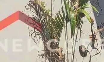 Imagem 7: Casa em Rua Catarina Aparecida de Camargo - Residencial Ouro Verde - Botucatu/SP