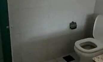 Imagem 7: Vendo ótima casa 3 quartos terrenao valor 480 mil aceito financiamento rocha miranda