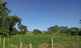 Imagem 7: Vende-se sítio em Conceição de Macabu