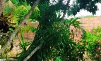 Imagem 2: Vendo sítio Chácara com venda por R$170.000