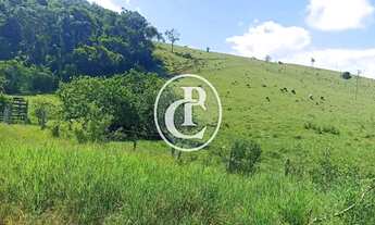 Imagem 7: Fazenda 34 Alqueires Pecuária e Agricultura à venda em Paraibuna/SP