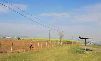 Imagem: Fazenda em Rodovia Cornélio Pires - Campestre