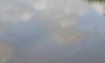 Imagem 6: FAZENDA de 429 t, com duas casas, curral e açude 50% capim ; distrito de Jaguara/Feira BA