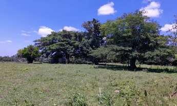 Imagem 6: Fazenda em Taquara