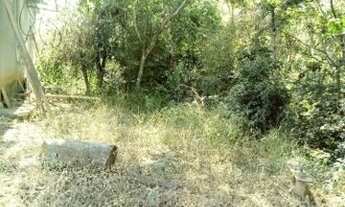 Imagem 3: Sitio de mil metros casa simples, mas aconchegante, Jaboticatubas (Temos varias opções)