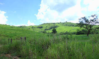 Imagem 7: 220 Alq. Guaraniaçu-Pr