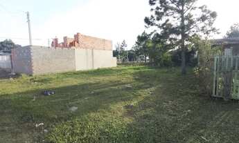 Imagem 3: Vendo Terreno na praia de imbe albatroz