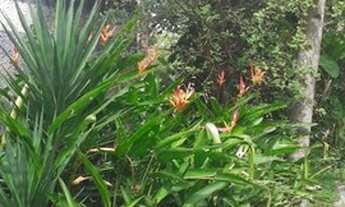 Imagem 5: Apartamento para venda possui 105 metros quadrados com 3 quartos em -