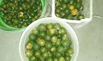 Imagem 7: Vendo Sitio no Paricatuba