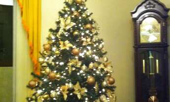 Imagem: APARTAMENTO 3 DORMITORIOS, 1 SUITE, 2 VAGA