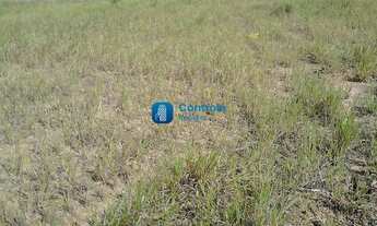 Imagem 2: SãO JOSé - Terreno Padrão - Sertão Do Maruim