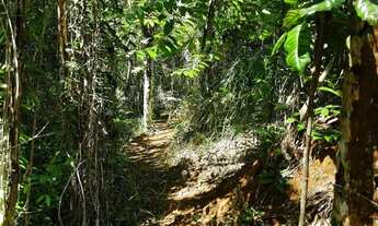 Imagem 6: Terreno sem benfeitorias para formação de sitio de lazer