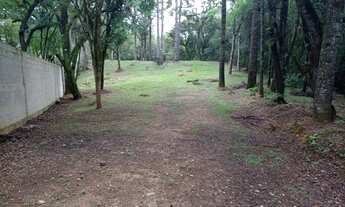 Imagem: Terreno no Butiatuvinha/Santa felicidade