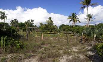 Imagem 6: Terreno Praia do Grauçá