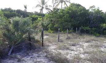 Imagem: Terreno Praia do Grauçá