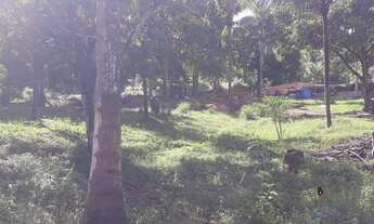 Imagem 2: Sítio a venda Chácara com venda por R$200.000