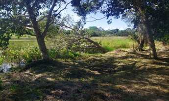 Imagem 3: Lote no Goiabal Terreno / lote com venda por R$8.500