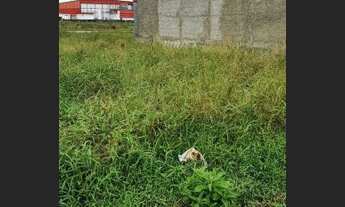 Imagem: Vende se lote