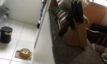 Imagem 7: Apartamento no Parque São Vicente- São Paulo, SP