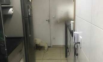 Imagem 7: Apartamento a venda com 2 Dormitórios 1 Suíte no Centro de Diadema