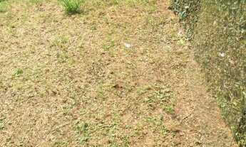 Imagem 6: COMERCIAL - JARDIM AEROPORTO - SP