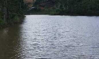 Imagem 6: Sítio com nascente em Santa Leopoldina