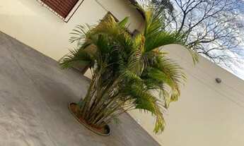 Imagem 7: São José do Rio Preto - Casa Padrão - Jardim Arroyo