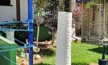 Imagem 4: Vila Velha - Terreno Padrão - Praia Da Costa