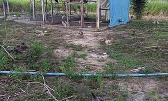 Imagem 5: Chácara Chácara com venda por R$180.000