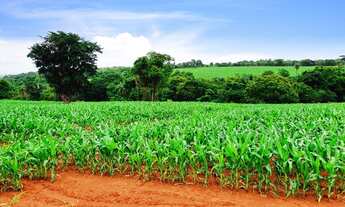 Imagem 5: Oportunidade. Vendo Fazendinhas com Riacho e Financiamento em Baldim
