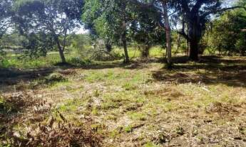 Imagem: Lote no Goiabal