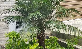 Imagem 5: Casa impecável a mais linda da ZL