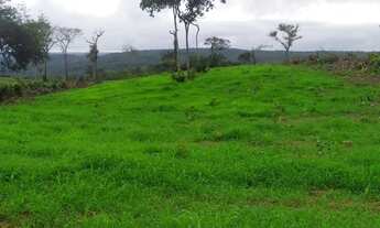 Imagem 5: VENDO FAZENDA 110 ALQUEIRES REGIÃO RIO SONO